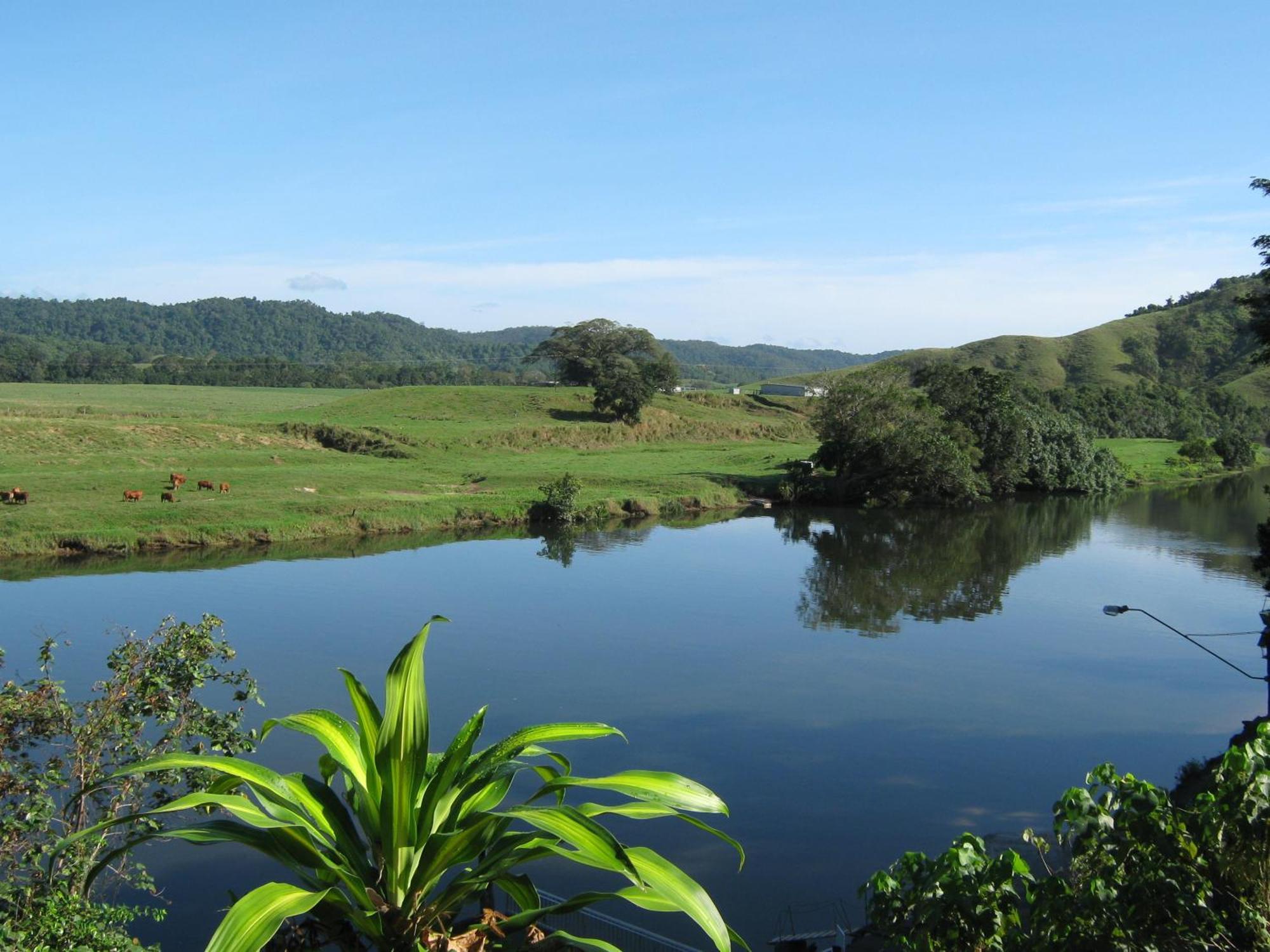 Daintree Riverview Lodges Екстериор снимка