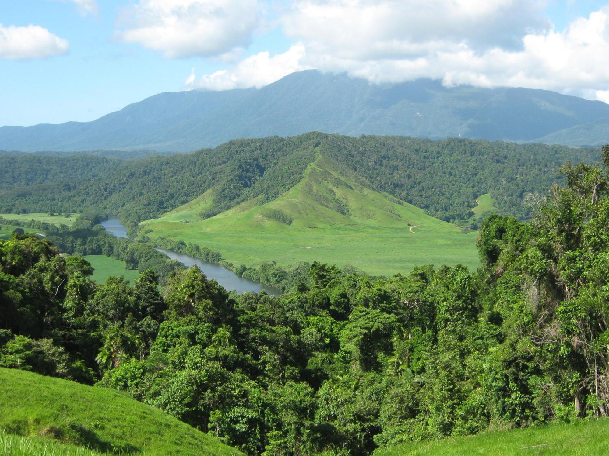 Daintree Riverview Lodges Екстериор снимка
