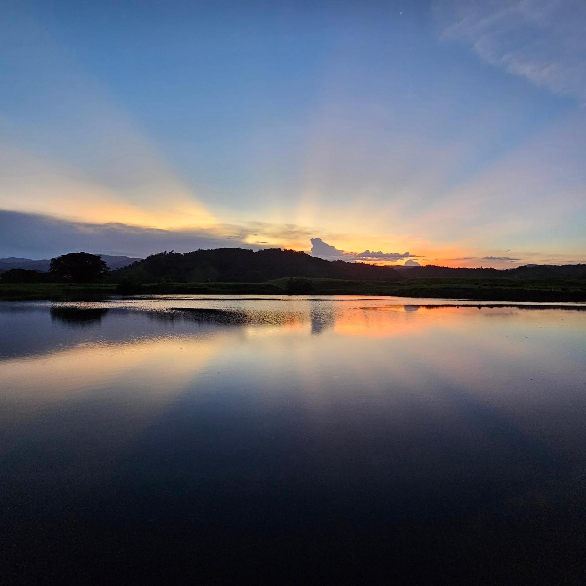 Daintree Riverview Lodges Екстериор снимка