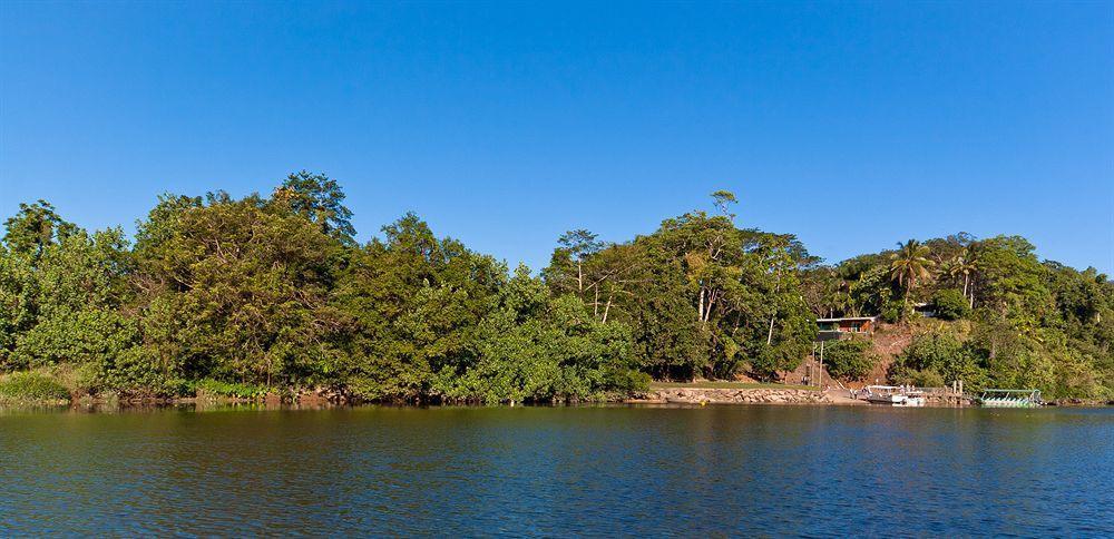 Daintree Riverview Lodges Екстериор снимка